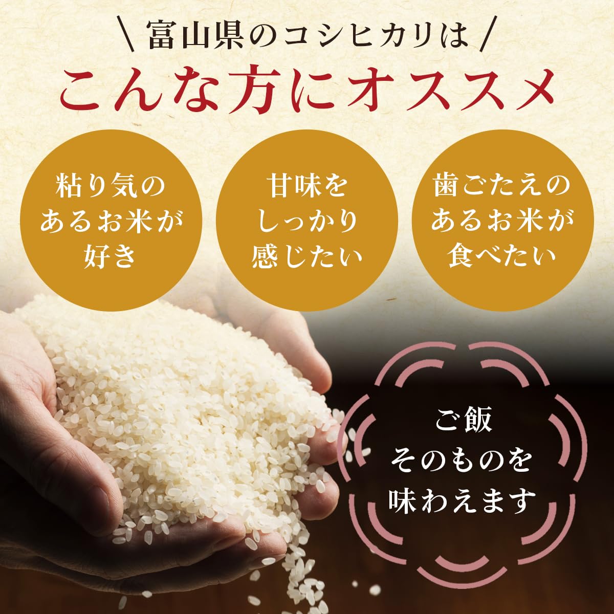 Amazon.co.jp: 富山産 コシヒカリ 令和7年産 5kg 精米 冷めても